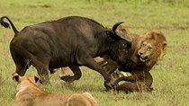 Arusha Natinional Park