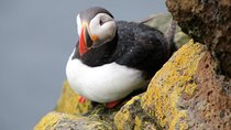 The Great Round Tour: Around Iceland in 13 Days
