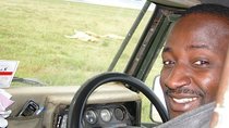 Private Wildlife Watching at Ngorongoro Crater 