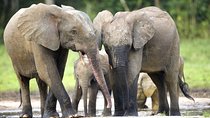 Lake Manyara Day Trips