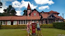 Day Trip to Nuwara eliya from Kandy 