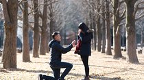 Private Nami Island Photo Shoot and Tour with a Photographer