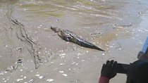 Wildlife river boat safari & Cultural experience.