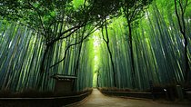 Kyoto Arashiyama & Sagano Bamboo Private Tour with Government-Licensed Guide