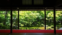 Kyoto Japanese Garden Lover's Private Tour with Government-Licensed Guide