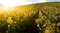Tokaj wineregion home to the worldfamous aszu, on a private tour!