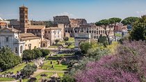Private Immersive Colosseum Tour