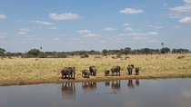 03 Days, 02 Nights Safari To Lake Manyara, Ngorongoro And Tarangire
