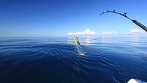 Fishing & Snorkeling By Speed Boat Tour (Semi Private) - Hurghada