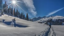 Guided Winter Wonderland Snowshoeing Adventure From Prague