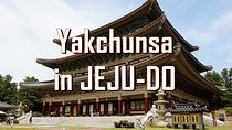  [Jeju Island] Customizable Private Taxi Tour