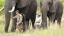 3 Days Samburu Big Five
