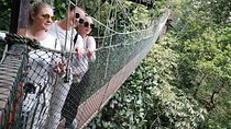 3D 2N Tour Kuala Lumpur -Camerons - Taman Negara - Kuala Lumpur. 