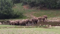 1 Day Activity Adventure Trekking Kerala