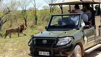 8 Day Best of South Africa
