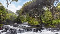 Tabacon Hot Springs Day Pass