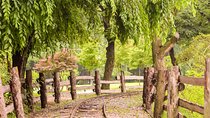 [ Full Day ] Nami Island, Petite France and Hot place Myeongdong!