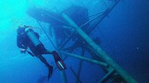 1-Day Adventure in Diving 