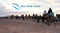 Agadir Camel Riding 