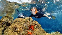 Snorkeling - By boat on site in the Bay of Cannes or Estérel