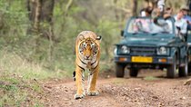 6 Day Golden Triangle with Ranthambore - Taj Mahal Sunset/Sunrise