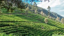 Glamour Of Sri Lanka | 7 Days