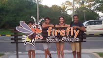 Monkey Hill, Eagle and Firefly Tour
