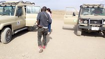 Day trip to Tarangire national park from Moshi 