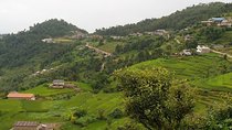 3 Days Australian Camp,Dhampus and Sarangkot Trekking from Pokhara