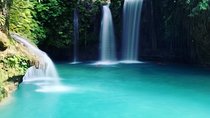Cebu chasing waterfalls, whalesharks, sardines & turtles