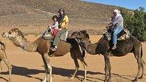 Camel ride
