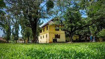 5 Days in Kerala from Kochi