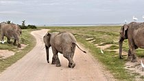 7 Days Kenya and Tanzania Wildlife Safari