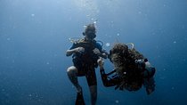 Refresher Scuba Diving Course Costa Rica