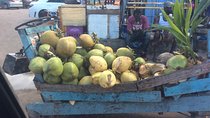 Negril Country Side Tour & Rick's Cafe 