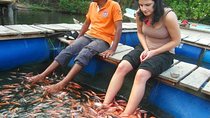 Explore Nature and Heritage in Galle from Negombo (All inclusive day tour)