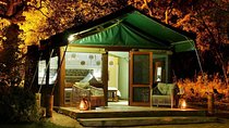 8 Nights Hwange, Victoria Falls, Chobe National Park & Okavango Delta Package