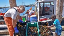 Boston to Kennebunkport with Optional Lobster Tour
