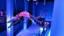 Hurghada Grand Aquarium Entry Ticket and Tour