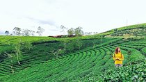 Private 3days 2 nights Da lat flower paradies from Saigon 
