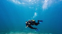 Try Dive in Tenerife