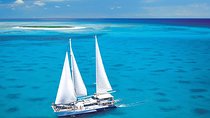 Ocean Spirit Sail to Michaelmas Cay Snorkel or Dive, from Cairns