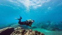 Immersion Certified Diver