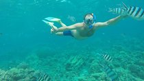 Makadi Bay Snorkeling and Diving Island Trip