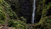 Queimadas - Caldeirão Verde (Full Day Walk)