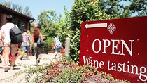 Chianti Wine Tour: Two Wine Tastings, Vineyards and Cellar Visit