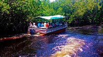  Black  River Safari * YS Falls  *  Appleton Rum Tour  
