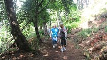 Vale Paraíso - Rochão (Half Day Walk)