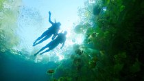 Unforgettable Xenotes Tour: Discover and Explore This Hidden Gem!