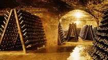 Cavas Freixenet Wine Tour from Mexico City